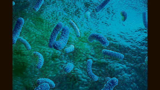 Culture shock: Your gut could be making you sad, angsty, anxious