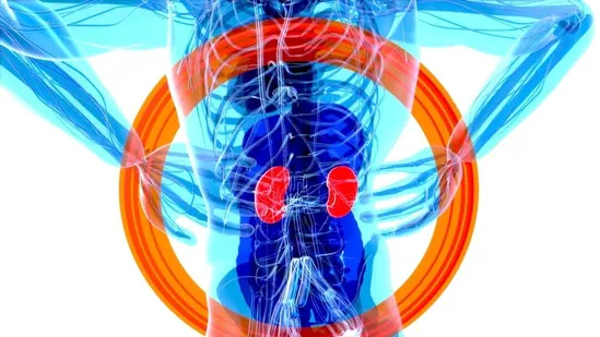 Did you know puffy eyes and nausea can indicate kidney disease? US doctor shares 5 subtle signs of impaired kidneys